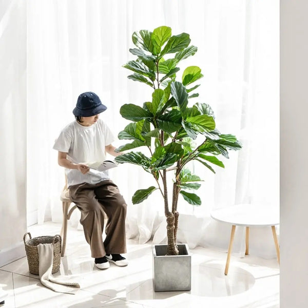 Ficus Artificial Cazza